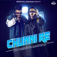 Chunni Re Sukh E Muzical Doctorz, Pardhaan mp3 song ringtone, Chunni Re Sukh E Muzical Doctorz, Pardhaan Ringtone Download - DjPunjab.Com.Mx