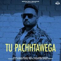 Tu Pachhtawega Gold E Gill mp3 song ringtone, Tu Pachhtawega Gold E Gill Ringtone Download - DjPunjab.Com.Mx