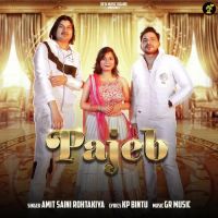 Pajeb Amit Saini Rohtakiya mp3 song ringtone, Pajeb Amit Saini Rohtakiya Ringtone Download - DjPunjab.Com.Mx