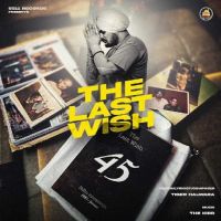 The Last Wish Tiger Halwara mp3 song ringtone, The Last Wish Tiger Halwara Ringtone Download - DjPunjab.Com.Mx