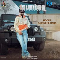 1 Number Surinder Baba mp3 song ringtone, 1 Number Surinder Baba Ringtone Download - DjPunjab.Com.Mx