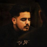 Too Late Robyn Sandhu mp3 song ringtone, Too Late Robyn Sandhu Ringtone Download - DjPunjab.Com.Mx