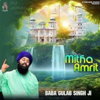 Mitha Amrit Baba Gulab Singh Ji mp3 song ringtone, Mitha Amrit Baba Gulab Singh Ji Ringtone Download - DjPunjab.Com.Mx