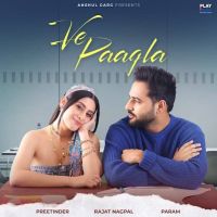 Ve Paagla Preetinder mp3 song ringtone, Ve Paagla Preetinder Ringtone Download - DjPunjab.Com.Mx