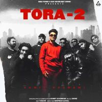 Tora 2 Sumit Goswami mp3 song ringtone, Tora 2 Sumit Goswami Ringtone Download - DjPunjab.Com.Mx