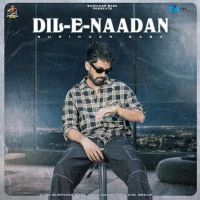 Dil E Nadaan Surinder Baba mp3 song ringtone, Dil E Nadaan Surinder Baba Ringtone Download - DjPunjab.Com.Mx