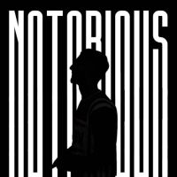 We Don't Play Sultaan mp3 song ringtone, Notorious Sultaan Ringtone Download - DjPunjab.Com.Mx