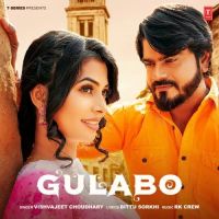 Gulabo Vishvajeet Choudhary mp3 song ringtone, Gulabo Vishvajeet Choudhary Ringtone Download - DjPunjab.Com.Mx