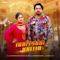 Aar Paar Jaatni Surender Romio, Renuka Panwar mp3 song ringtone, Aar Paar Jaatni Surender Romio, Renuka Panwar Ringtone Download - DjPunjab.Com.Mx