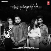 Tere Warge Nahi Runbir, Nav Dolorain mp3 song ringtone, Tere Warge Nahi Runbir, Nav Dolorain Ringtone Download - DjPunjab.Com.Mx