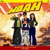 Woah Ashu Sidhu mp3 song ringtone, Woah Ashu Sidhu Ringtone Download - DjPunjab.Com.Mx