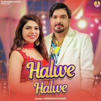 Halwe Halwe Surender Romio mp3 song ringtone, Halwe Halwe Surender Romio Ringtone Download - DjPunjab.Com.Mx