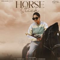 Horse Stick Baani Sandhu mp3 song ringtone, Horse Stick Baani Sandhu Ringtone Download - DjPunjab.Com.Mx