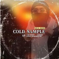 Nasha Real Boss mp3 song ringtone, COLD SAMPLE Real Boss Ringtone Download - DjPunjab.Com.Mx