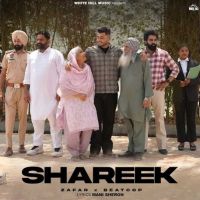 Shareek Zafar mp3 song ringtone, Shareek Zafar Ringtone Download - DjPunjab.Com.Mx