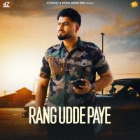 Rang Udde Paye Misaal mp3 song ringtone, Rang Udde Paye Misaal Ringtone Download - DjPunjab.Com.Mx