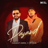 Pasand Karamjit Anmol mp3 song ringtone, Pasand Karamjit Anmol Ringtone Download - DjPunjab.Com.Mx