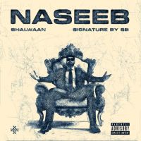 Naseeb Bhalwaan mp3 song ringtone, Naseeb Bhalwaan Ringtone Download - DjPunjab.Com.Mx