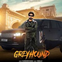 Greyhound Surinder Baba mp3 song ringtone, Greyhound Surinder Baba Ringtone Download - DjPunjab.Com.Mx