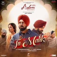 Tu Malik Sukhwinder Singh mp3 song ringtone, Tu Malik Sukhwinder Singh Ringtone Download - DjPunjab.Com.Mx
