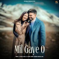 Mil Gaye O Miel mp3 song ringtone, Mil Gaye O Miel Ringtone Download - DjPunjab.Com.Mx