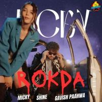 Rokda Micky, Komal Chaudhary mp3 song ringtone, Rokda Micky, Komal Chaudhary Ringtone Download - DjPunjab.Com.Mx