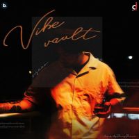 Download Vibe Vault Vseer full mp3 album