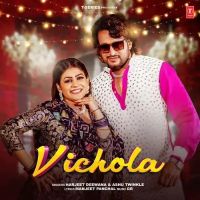Vichola Harjeet Deewana, Ashu Twinkle mp3 song ringtone, Vichola Harjeet Deewana, Ashu Twinkle Ringtone Download - DjPunjab.Com.Mx