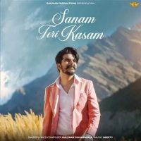 Sanam Teri Kasam Gulzaar Chhaniwala mp3 song ringtone, Sanam Teri Kasam Gulzaar Chhaniwala Ringtone Download - DjPunjab.Com.Mx
