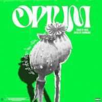 Opium Iqbal mp3 song ringtone, Opium Iqbal Ringtone Download - DjPunjab.Com.Mx