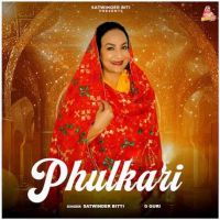 Phulkari Satwinder Bitti mp3 song ringtone, Phulkari Satwinder Bitti Ringtone Download - DjPunjab.Com.Mx