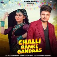 Challi Banke Gandaas Raj Mawar, Ashu Twinkle mp3 song ringtone, Challi Banke Gandaas Raj Mawar, Ashu Twinkle Ringtone Download - DjPunjab.Com.Mx