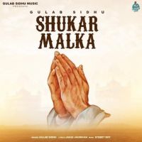 Shukar Malka Gulab Sidhu mp3 song ringtone, Shukar Malka Gulab Sidhu Ringtone Download - DjPunjab.Com.Mx