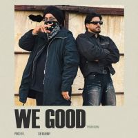 We Good Tyson Sidhu mp3 song ringtone, We Good Tyson Sidhu Ringtone Download - DjPunjab.Com.Mx