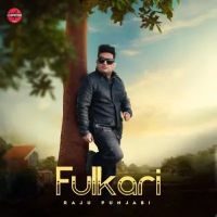 Fulkari Raju Punjabi mp3 song ringtone, Fulkari Raju Punjabi Ringtone Download - DjPunjab.Com.Mx