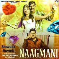 Seene Se Laga Ke Rakhu Harjeet Deewana mp3 song ringtone, Seene Se Laga Ke Rakhu Harjeet Deewana Ringtone Download - DjPunjab.Com.Mx