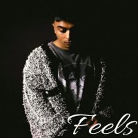 Feels Gurinder Gill mp3 song ringtone, Feels Gurinder Gill Ringtone Download - DjPunjab.Com.Mx