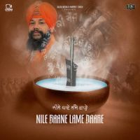Nile Baane Lame Daare Manjit Singh Sohi mp3 song ringtone, Nile Baane Lame Daare Manjit Singh Sohi Ringtone Download - DjPunjab.Com.Mx