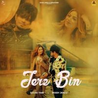 Tere Bin Sucha Yaar mp3 song ringtone, Tere Bin Sucha Yaar Ringtone Download - DjPunjab.Com.Mx