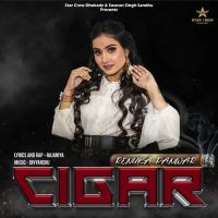Cigar Renuka Panwar mp3 song ringtone, Cigar Renuka Panwar Ringtone Download - DjPunjab.Com.Mx