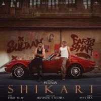 Shikari Sultaan mp3 song ringtone, Shikari Sultaan Ringtone Download - DjPunjab.Com.Mx