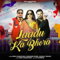 Laadu Ka Bhora Surender Romio, Sushila Takhar mp3 song ringtone, Laadu Ka Bhora Surender Romio, Sushila Takhar Ringtone Download - DjPunjab.Com.Mx