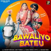 Bawaliyo Bateu Harjeet Deewana, Ashu Twinkle mp3 song ringtone, Bawaliyo Bateu Harjeet Deewana, Ashu Twinkle Ringtone Download - DjPunjab.Com.Mx