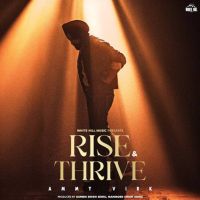 Booster Ammy Virk mp3 song ringtone, Rise & Thrive Ammy Virk Ringtone Download - DjPunjab.Com.Mx