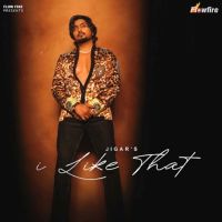 I Like That Jigar mp3 song ringtone, I Like That Jigar Ringtone Download - DjPunjab.Com.Mx