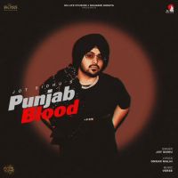 Punjab Blood Jot Sidhu mp3 song ringtone, Punjab Blood Jot Sidhu Ringtone Download - DjPunjab.Com.Mx