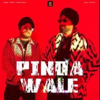 Pinda Wale Turban Beats mp3 song ringtone, Pinda Wale Turban Beats Ringtone Download - DjPunjab.Com.Mx