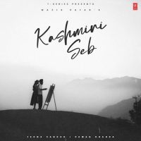 Kashmiri Seb Wazir Patar mp3 song ringtone, Kashmiri Seb Wazir Patar Ringtone Download - DjPunjab.Com.Mx