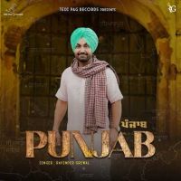 Punjab Ravinder Grewal mp3 song ringtone, Punjab Ravinder Grewal Ringtone Download - DjPunjab.Com.Mx