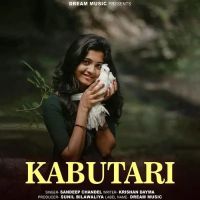 Kabutari Sandeep Chandel mp3 song ringtone, Kabutari Sandeep Chandel Ringtone Download - DjPunjab.Com.Mx